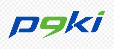 P9KI Logo
